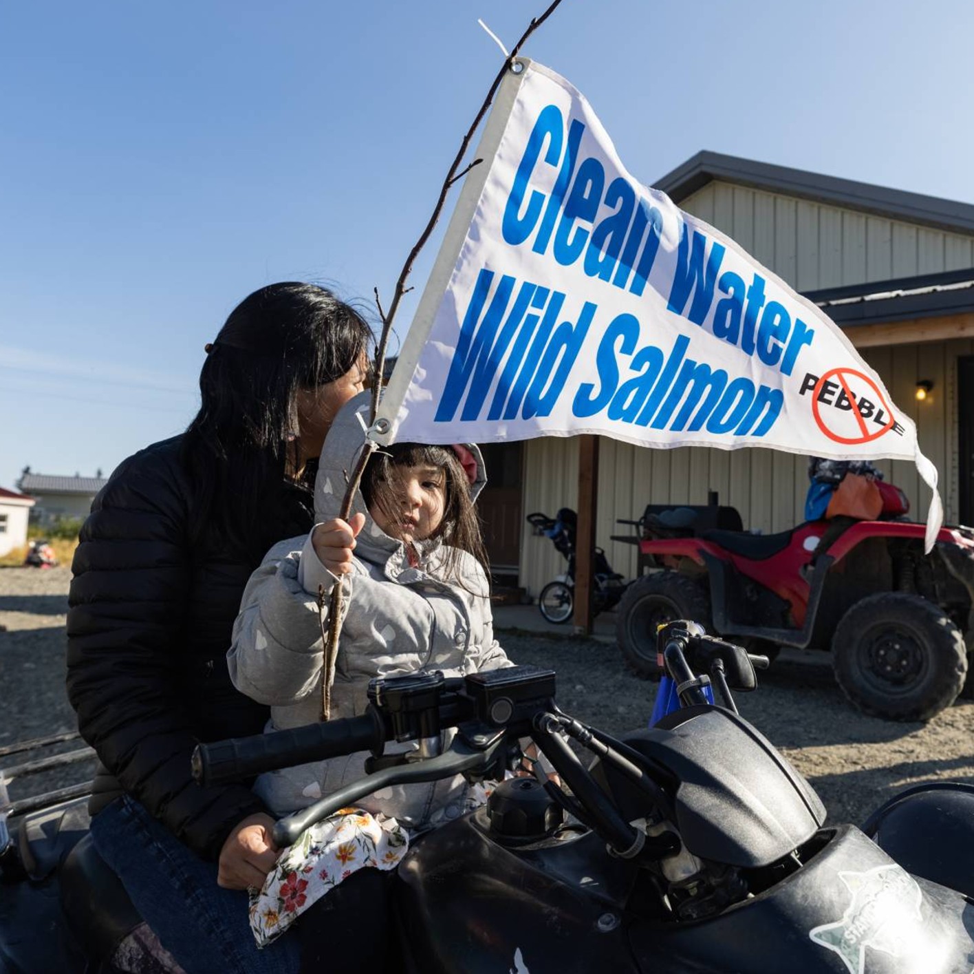 Tribal Goverment NVSF